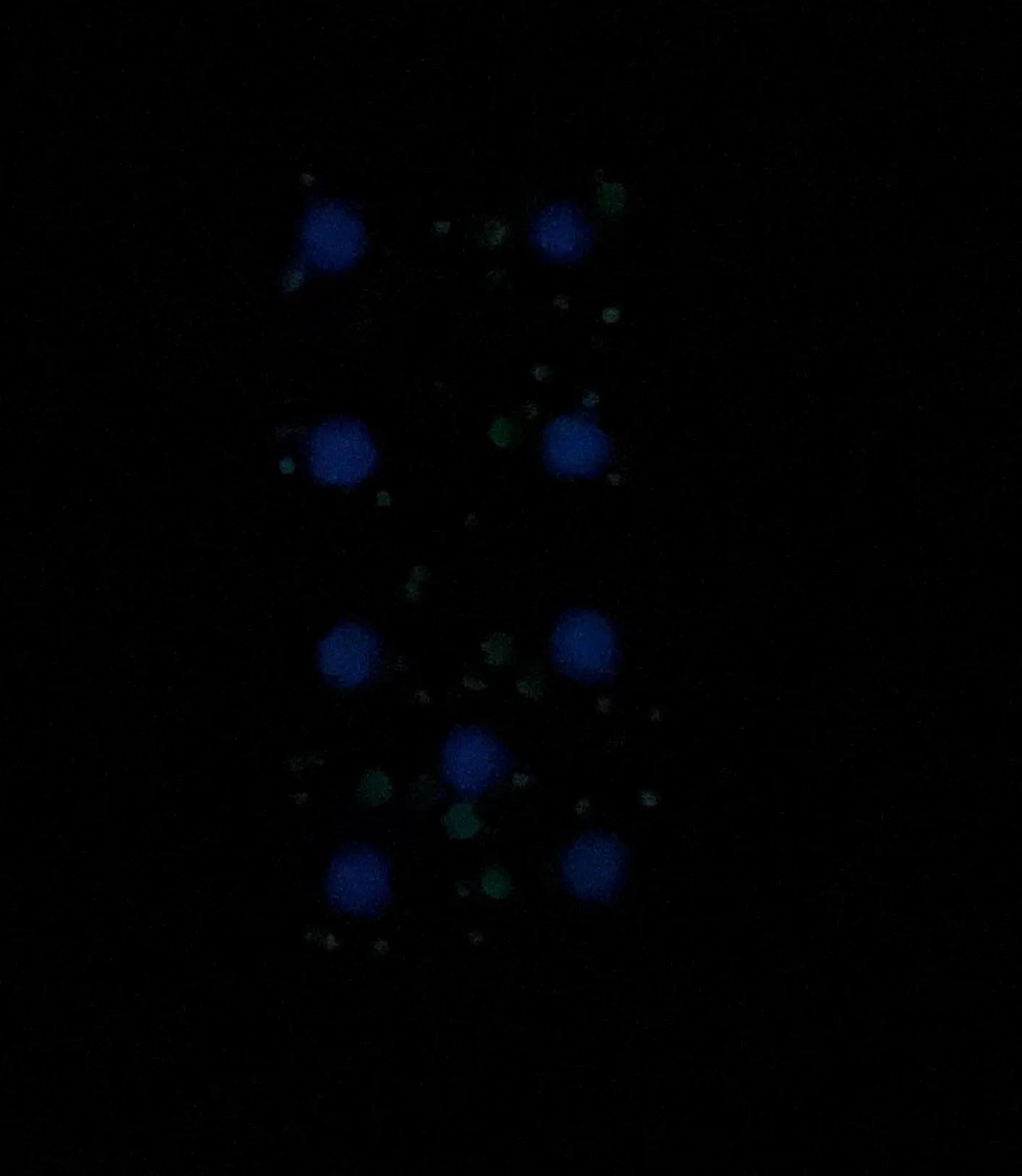Domino-Schlüsselanhänger mit im Dunkeln leuchtendem Glitzer